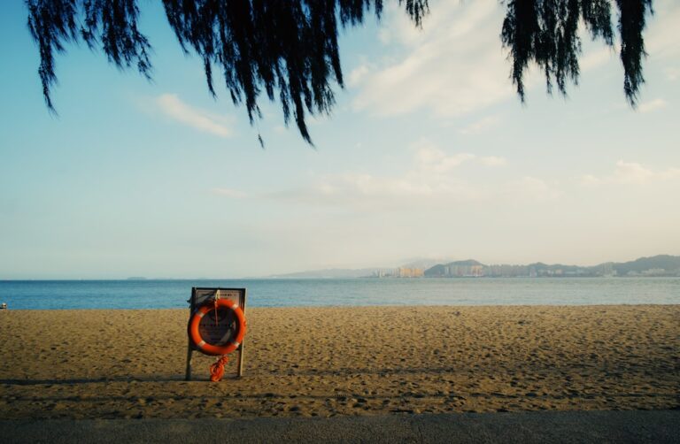 Maximize Your Travel Experience with These Essential Items